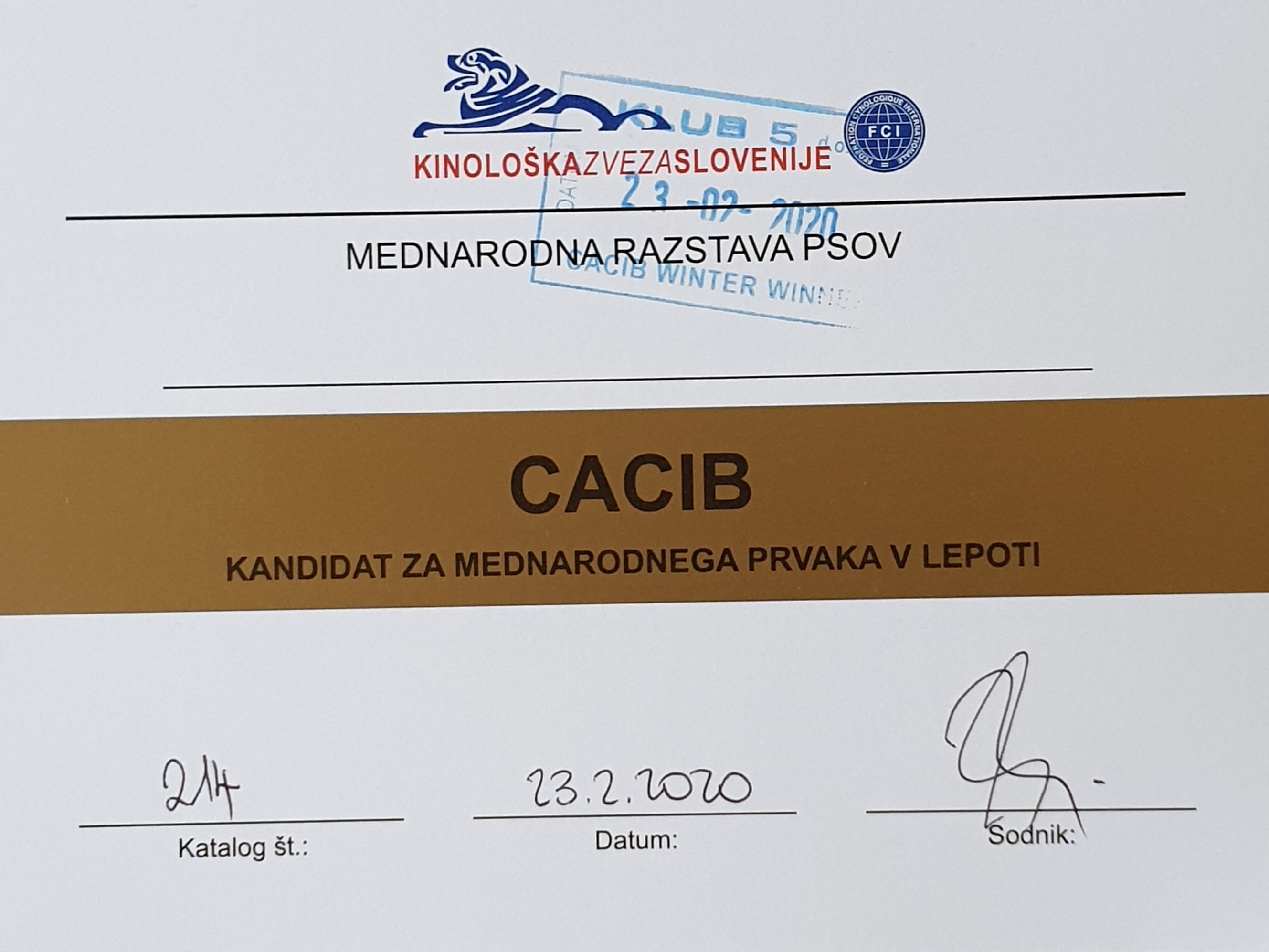 certificat 3