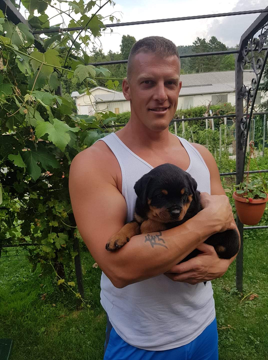 image of the dog Enrique